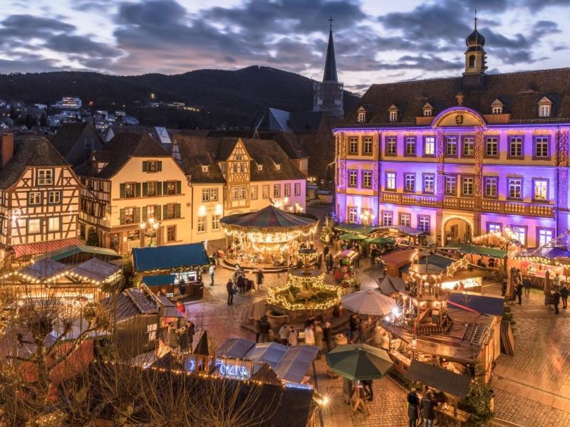 Pfaelzer Herzel Neustadt an der Weinstraße Екстериор снимка